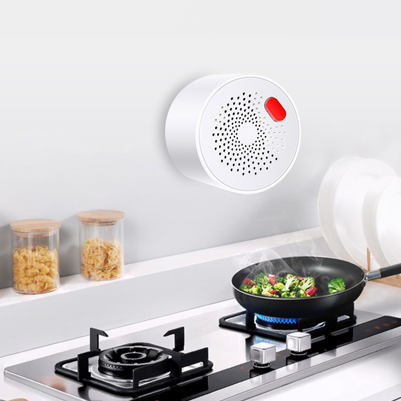 Tuya Smart Home Wifi naturalny – Smart Home Blog recenzja i cena