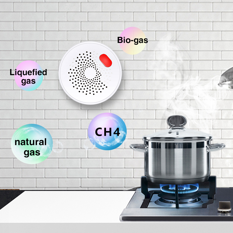 Tuya Smart Home Wifi naturalny – Smart Home Blog recenzja i cena